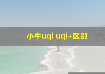 小牛uqi uqi+区别